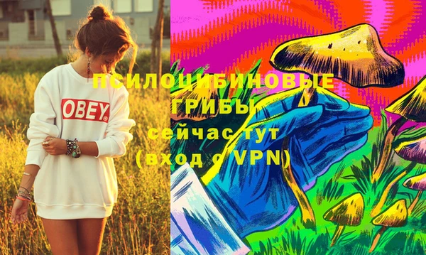 альфа пвп Михайлов