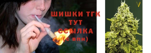 твердый Михайловск