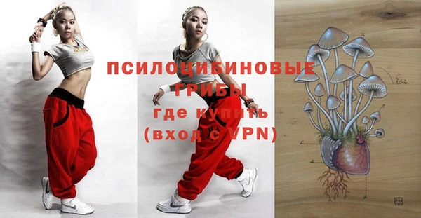 тгк Михайловка