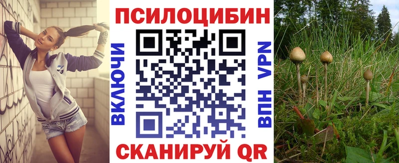 Псилоцибиновые грибы Psilocybine cubensis  Купить  Судак 